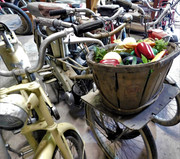 DSCN0705.jpg