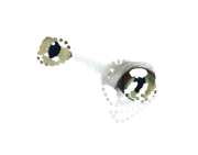 [Image: Re-Test.png]