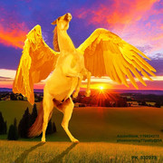 Golden-Pegasus