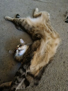 306429336_464038748983161_7317439958496345577_n