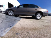 IMG_20250301_151324_661