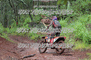 IMG-6348