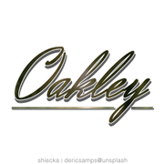 Untitled539_20241219145255