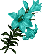 0_17d820_e4f43979_orig