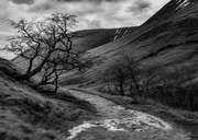 bbd6f707-22b3-4b85-a9b9-ee75c13d8a27_208