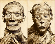 Ленивый Египет (Хургада, Луксор, Каир), декабрь 2025 - январь 2026