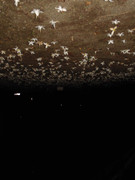 40.1.approaching darkness I