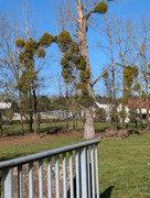 PXL 20260207 101742861