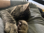 CE56F81A-F494-43FA-9C63-1A76BD4B5D2E