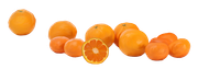 Tangerine-Winter-Kit-80