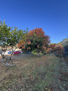 IMG-1757