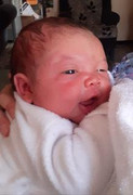 Mason