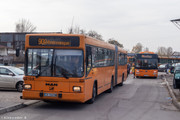 IMG-1235