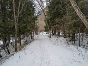 IMG_5680_série_2_48