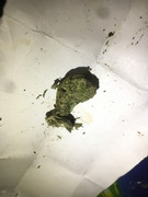 BC075E68-5534-4931-9F45-205137AF92C2