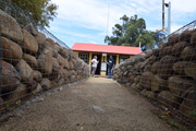 DSC-0006