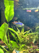 viber_изображение_2023-11-02_20-32-18-112