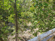 IMG-20260319-151641630-HDR