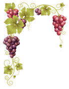 TADD_elements_Shimmer_Fall_104