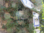 IMG-3274-1.jpg