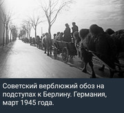 https://i.postimg.cc/N5w3NJ2g/photo-2026-05-31-03-53-02.jpg