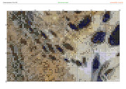 2913246-crosti-ru-color-20