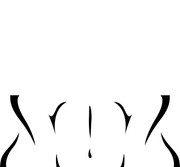 Anck-es-en-Amon-Chest