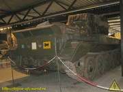 IMG-4559
