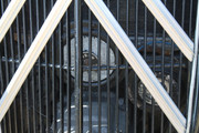 IMG-3898.jpg