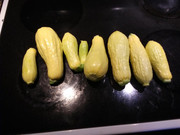 [Image: first-yellowsquash-from-2021.jpg]