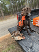 BD437395-28E7-46B9-B565-0873F7F4BFFF