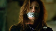 Dana Delany 3 - Castle S02E18