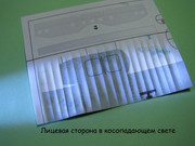 IMG-0819