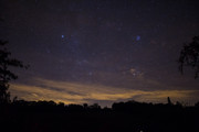 IMG-0117.jpg