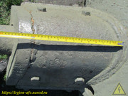 IMG-1353