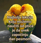 Messenger-creation-193524-EF-4-E43-4-F69-A3-C5-B5-FD4-D992757