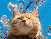 [Image: tn-202125-731c1995e120f.jpg]