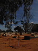 1.3. the naked tree III