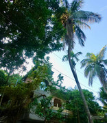 BBG&B19TawangToTezpur - 6