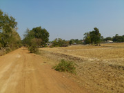 DSC-0035