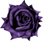 MVDLavender-Love-014