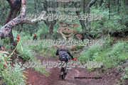 IMG-6492