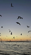 IMG-5249