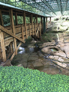 IMG-8345