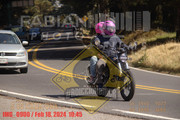 IMG-0900
