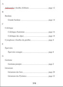 [Image: Sans-nom-2.jpg]