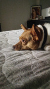 IMG-20241010-WA0004