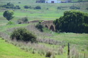 DSC-0037