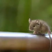 현대해상고객센터