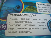 https://i.postimg.cc/N9hT0xSb/100-8087.jpg